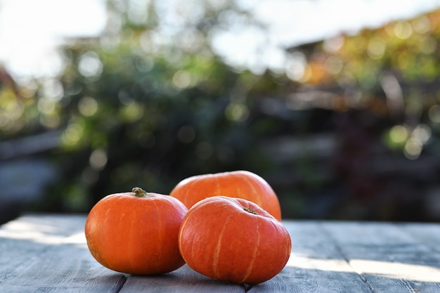 Calabazas de Halloween acostado sobre un piso de madera fuera