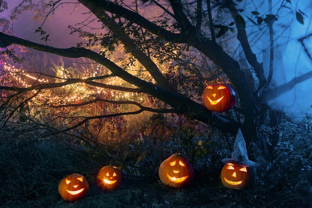 Calabazas de Halloween en el bosque misterioso de la noche