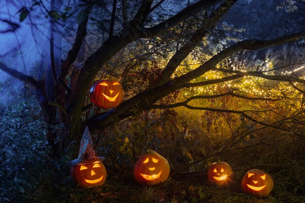 Calabazas de Halloween en bosque nocturno