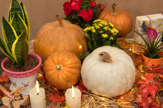 Calabazas de Halloween en las cajas de madera con velas, paja, hojas de otoño