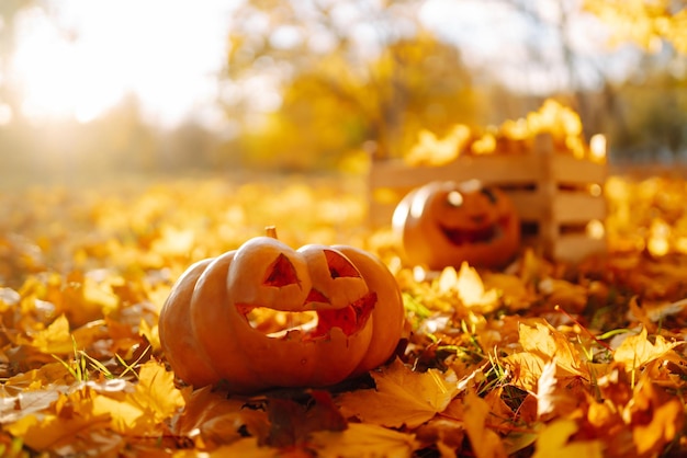 Las calabazas de Halloween en la calle de otoño Concepto de decoración de vacaciones