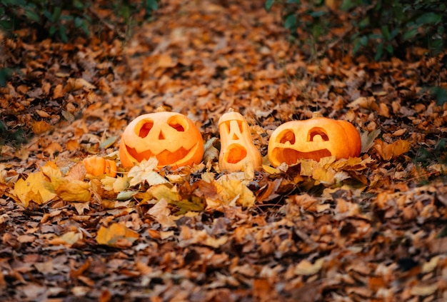 Calabazas de halloween en hojas secas de otoño caídas | Foto Premium