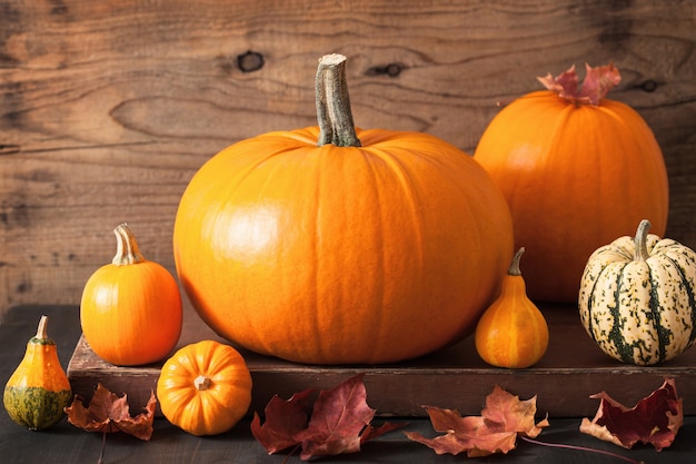 Calabazas de halloween de otoño sobre fondo de madera