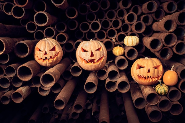 Calabazas de Halloween en una pila de tubos oxidados