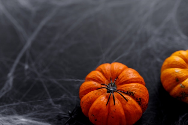 Calabazas de Halloween sobre fondo negro con tela y araña espeluznante.