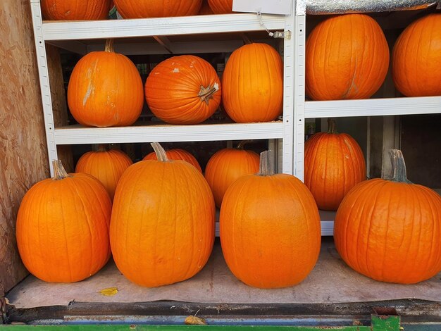 Calabazas de Halloween de tamaño mediano y naranja grande en los estantes de la tienda