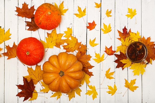 Calabazas y hojas caídas en la mesa de madera blanca