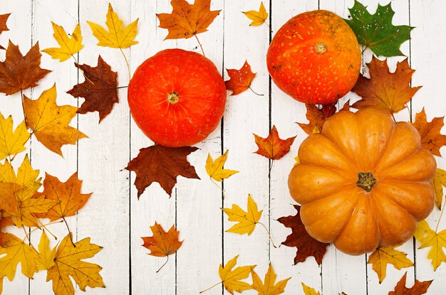 Calabazas y hojas caídas en la mesa de madera blanca