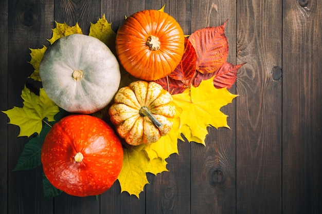 Calabazas y hojas de colores en la mesa de madera oscura.