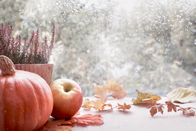 Calabazas y hojas de otoño en el tablero de la ventana en un día lluvioso