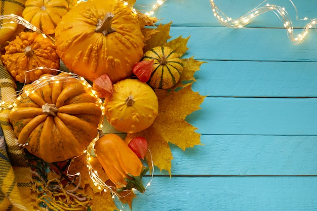 Calabazas y hojas de otoño