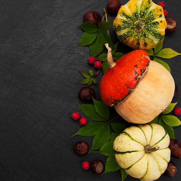 Calabazas con hojas de otoño