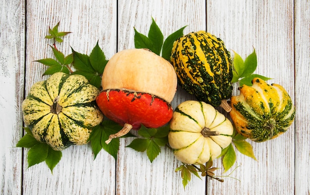 Calabazas con hojas de otoño