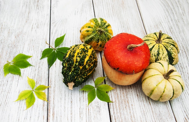 Calabazas con hojas de otoño