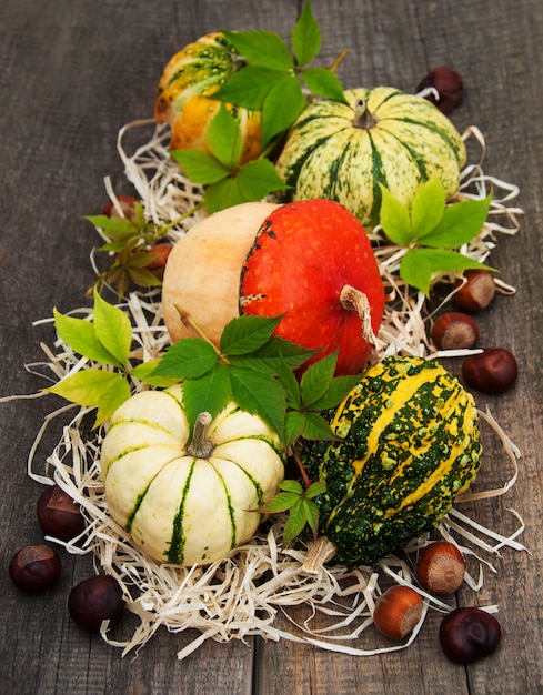 Calabazas con hojas de otoño