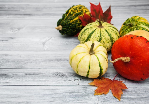 Calabazas con hojas de otoño