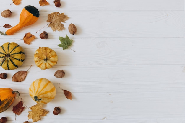 Calabazas, hojas secas en madera blanca