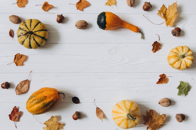 Calabazas, hojas secas en madera blanca