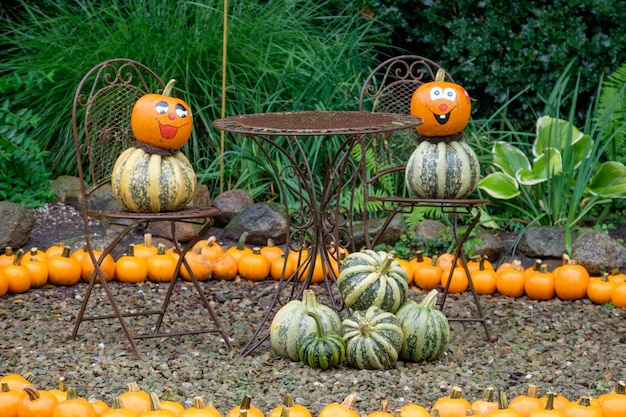 Calabazas en el jardín.