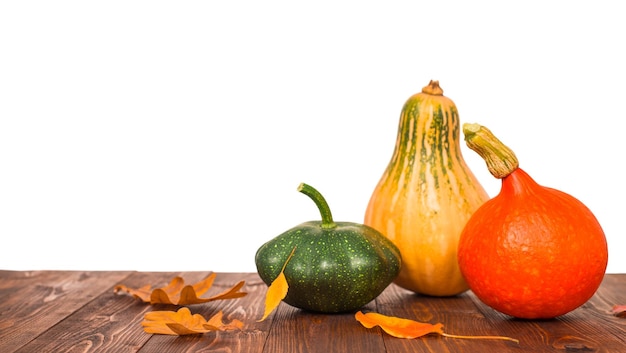 Calabazas en madera aislado sobre fondo blanco.