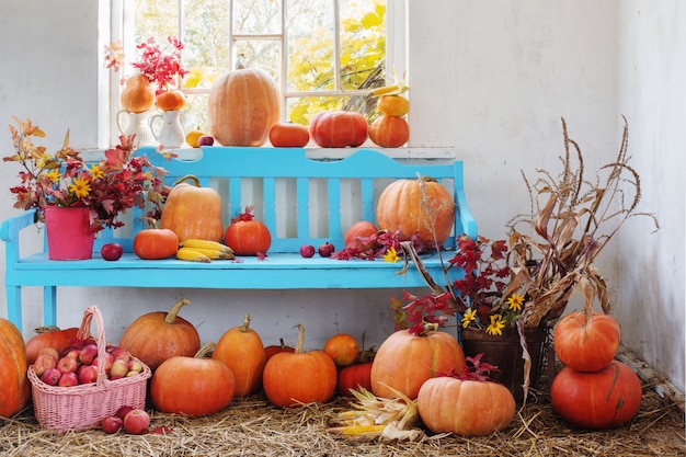 Calabazas, manzanas, flores en la habitación vieja