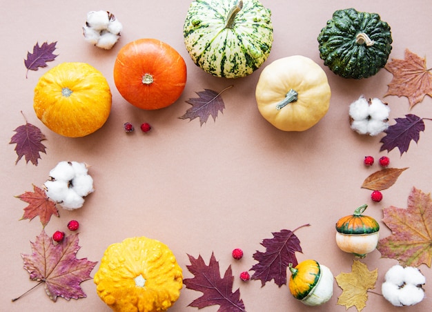 Calabazas en un marrón claro