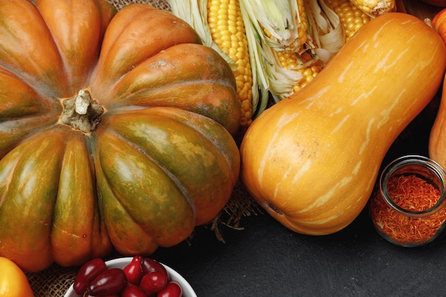 Calabazas y mazorcas de maíz sobre fondo negro