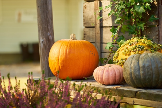 Foto calabazas en la mesa el estado de ánimo de halloween