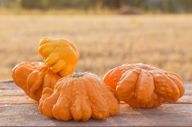 Calabazas en la mesa de madera al aire libre