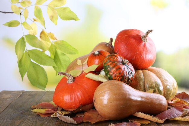 Calabazas en mesa de madera sobre fondo de rama verde