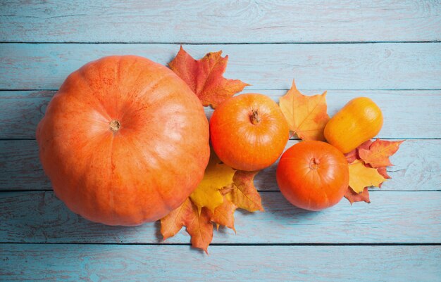 Calabazas en la mesa de madera vieja azul