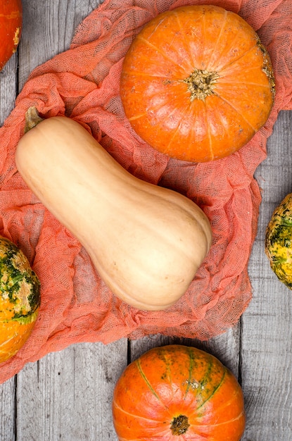 Calabazas en mesa de madera