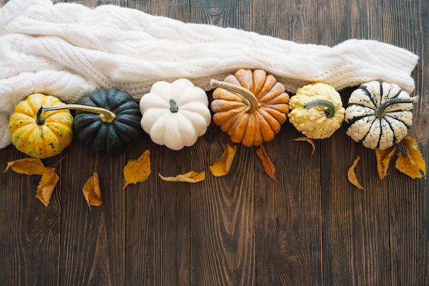 Calabazas multicolores y hojas secas de otoño en fondo de madera Vista superior plana para el otoño de otoño Concepto de Acción de Gracias Fondo de otoño