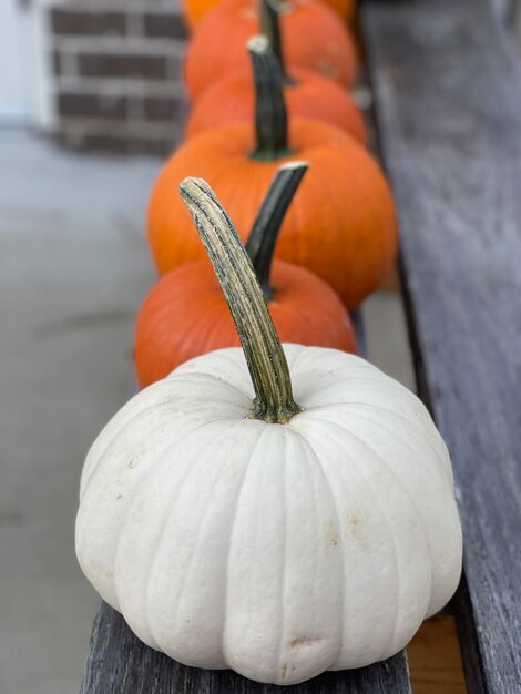 Foto calabazas naranjas y blancas