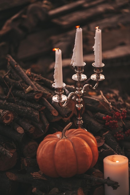 Calabazas naranjas con candelabro por tres velas entre viejas hojas secas caídas y ramas al aire libre