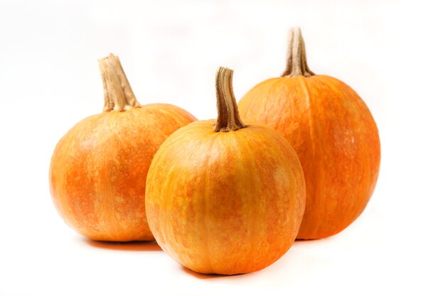 Calabazas naranjas closeup fondo de acción de gracias fondo de otoño