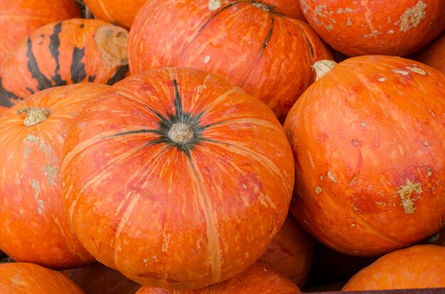 Calabazas naranjas como fondo