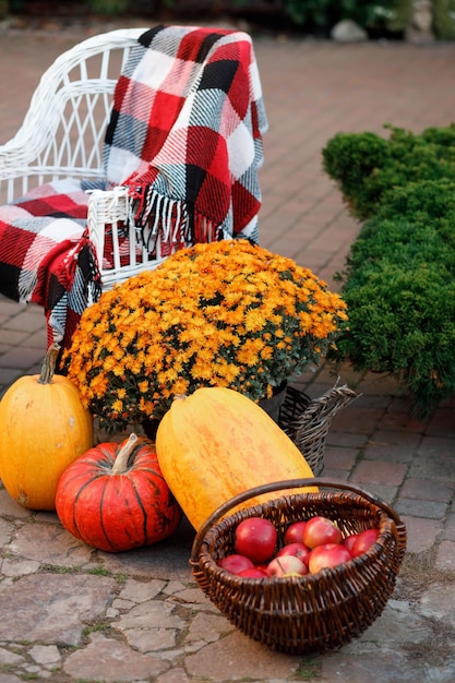 Calabazas naranjas como símbolo del otoño