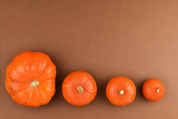 Las calabazas naranjas se encuentran en una fila sobre un fondo marrón de tamaño