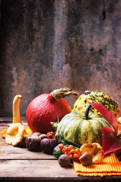 Calabazas, nueces y bayas