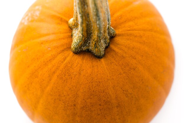 Calabazas orgánicas frescas del mercado local de agricultores.