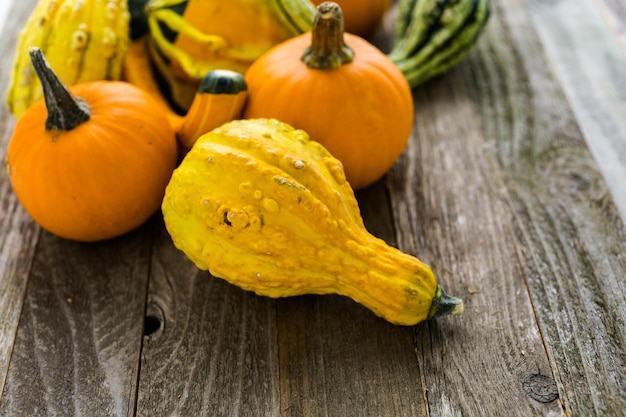 Calabazas orgánicas frescas del mercado local de agricultores.