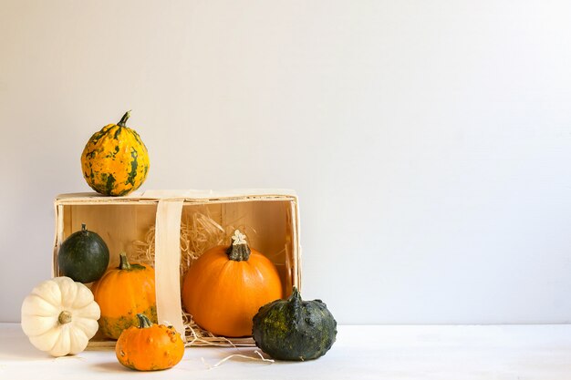 Calabazas ornamentales en una caja de madera