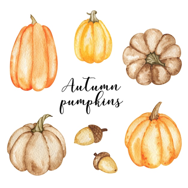 Calabazas de otoño con bellotas clipart otoño conjunto