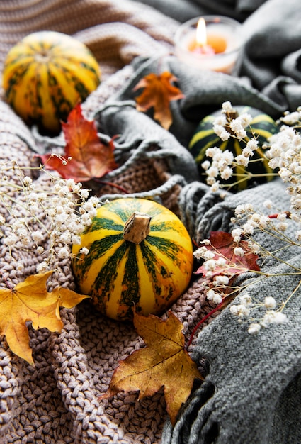 Calabazas de otoño, bufanda tejida, hojas de arce y vela sobre una mesa