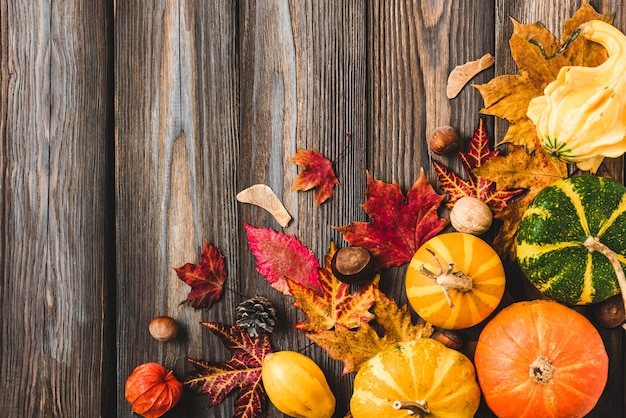 Calabazas de otoño, hojas, calabaza, bayas y nueces