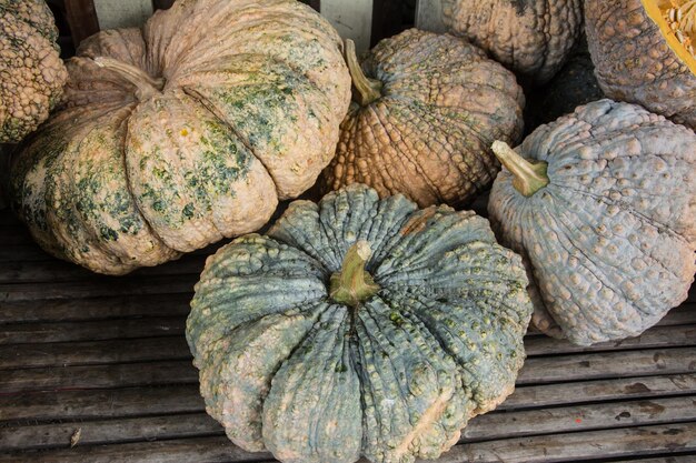 Calabazas de otoño con hojas en madera.