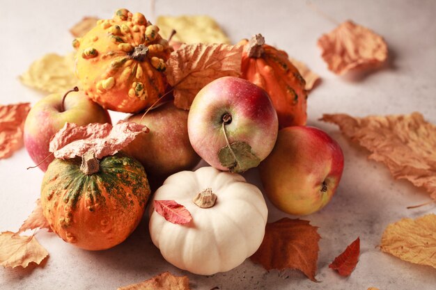 Calabazas de otoño con hojas y manzanas