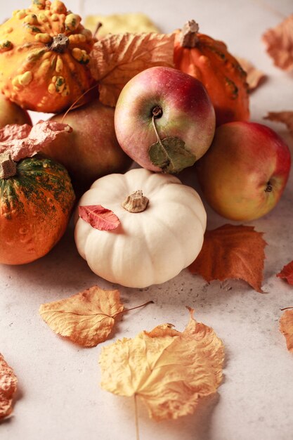 Calabazas de otoño con hojas y manzanas