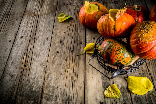 Calabazas de otoño en una mesa